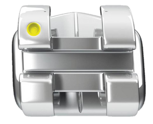 Novis Brackets
